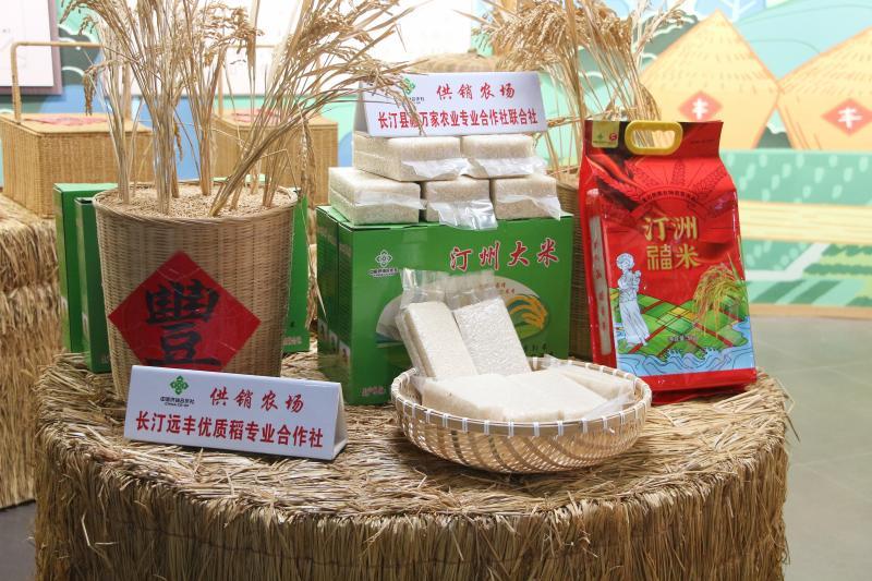 龙岩适合种植什么中药材_龙岩种植致富_龙岩适合种植什么果树