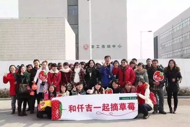 湖北适合种哪种草莓_湖北种植草莓致富_湖北种什么草莓好吃