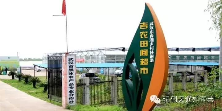 湖北种什么草莓好吃_湖北适合种哪种草莓_湖北种植草莓致富