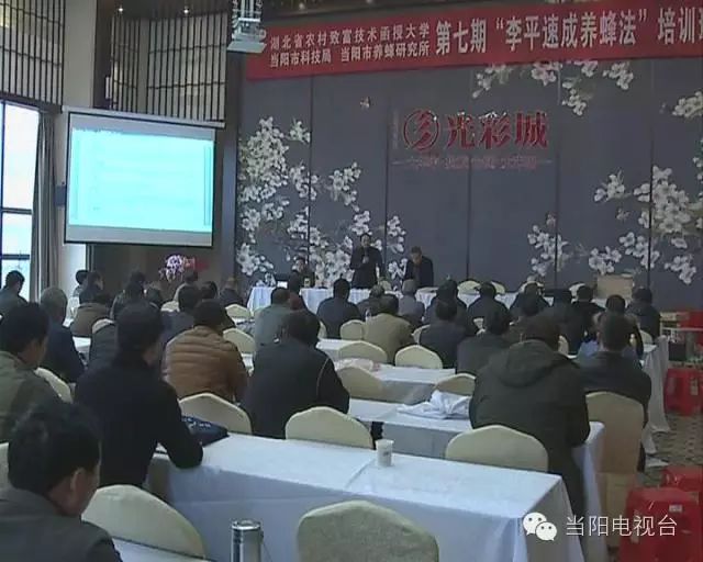 养蜂致富经_养蜂致富真的可以吗_致富经养殖养蜂