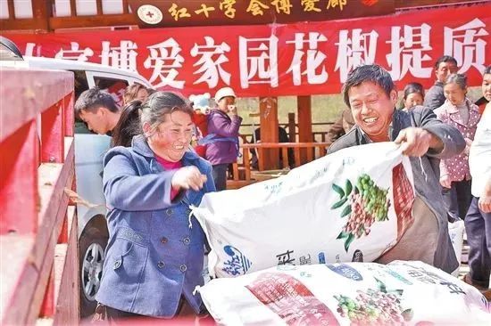 云南致富带头人_云南致富经_云南农村致富经