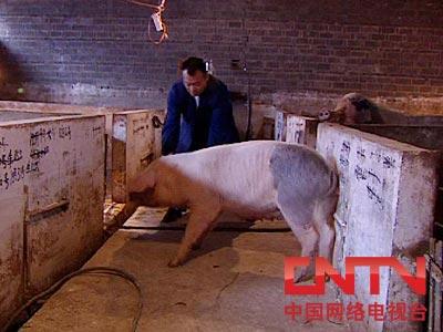 致富经2010年全_致富年代文男主视角_致富年代文小说