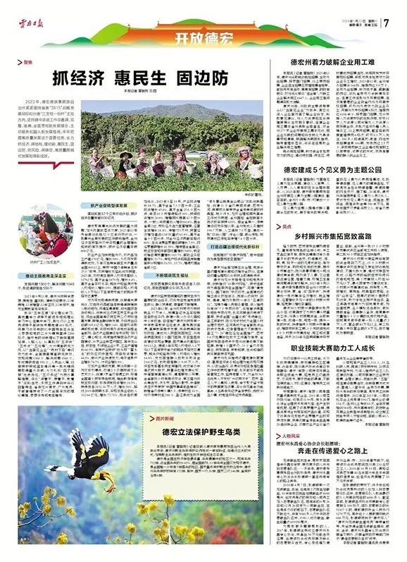 云南脱贫致富_云南农村致富经_云南致富带头人