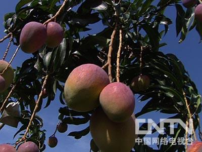 致富年代文_致富经2010年全_致富年代小说