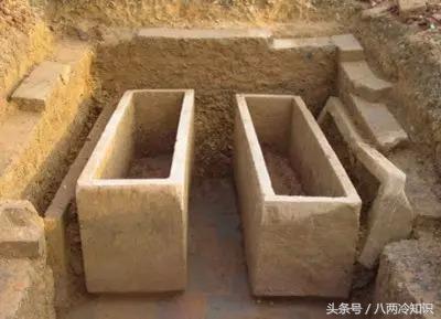 复齿鼯鼠养殖利润_致富经复齿鼯鼠养殖_复齿鼯鼠养殖cctv7