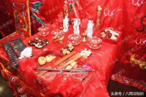 复齿鼯鼠养殖cctv7_复齿鼯鼠养殖利润_致富经复齿鼯鼠养殖