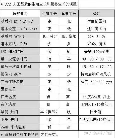 大棚种植草莓技术书_草莓大棚种植技术_大棚种植草莓技术在哪里学