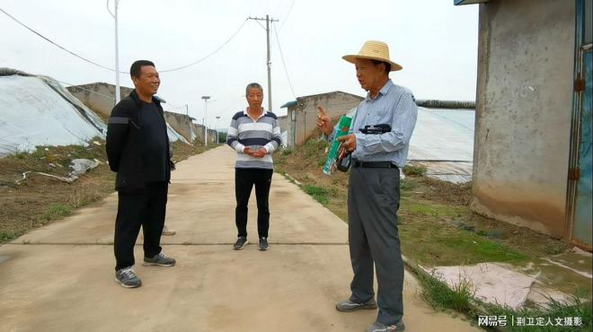 新疆枣树种植技术视频_新疆枣树苗_新疆枣树地亩产多少
