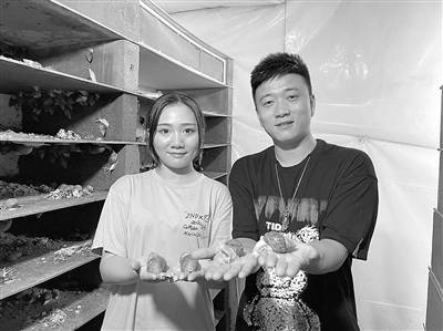 “90后”夫妻 养殖白玉蜗牛 期待走上致富路
