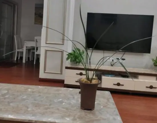寒兰养殖的注意事项_盆栽寒兰养殖技术_寒兰花盆
