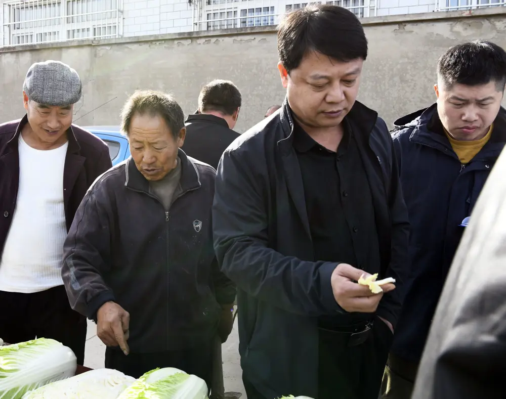 河北易县种植致富_河北省种植什么效益最高_河北农村种植致富项目