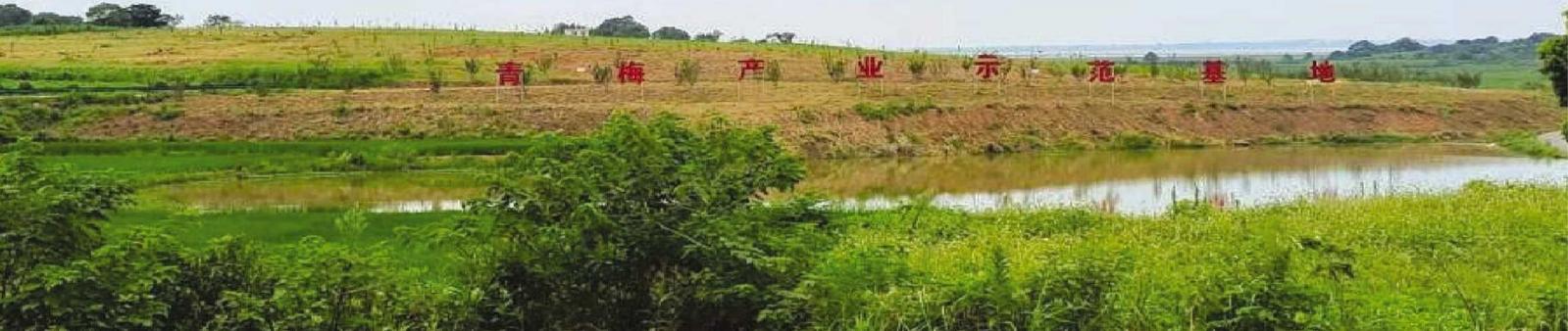 “一瓜一果”拓宽群众致富路