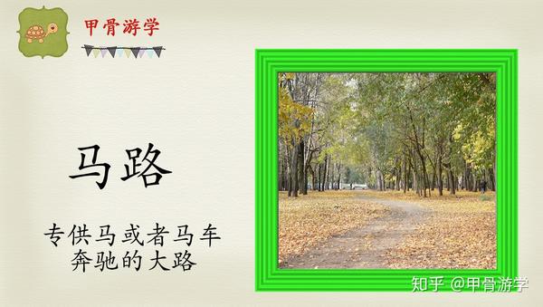 农民养马致富_致富经养马黄_致富经养马