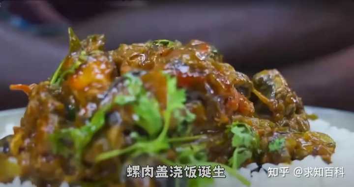 致富经养殖海螺视频_致富经养螺_养殖致富螺
