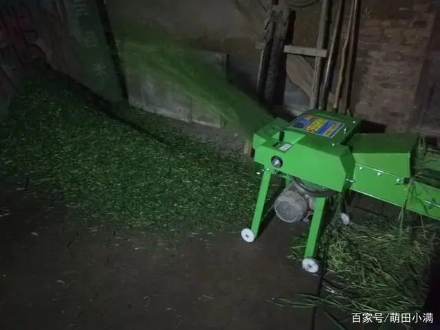 养萨能奶山羊奶前景_萨能奶山羊养殖技术_萨能奶山羊产奶量