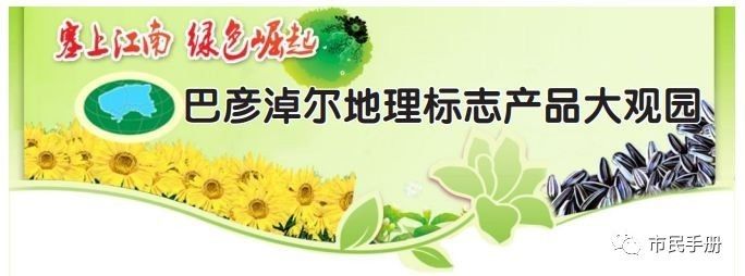 翠梨甜瓜种植技术_梨瓜种植技术视频_脆梨甜瓜种植与管理