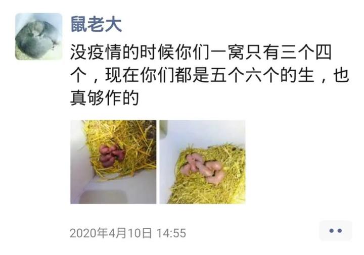 致富创业网养殖视频_农业节目致富经养殖视频_大户养殖致富视频