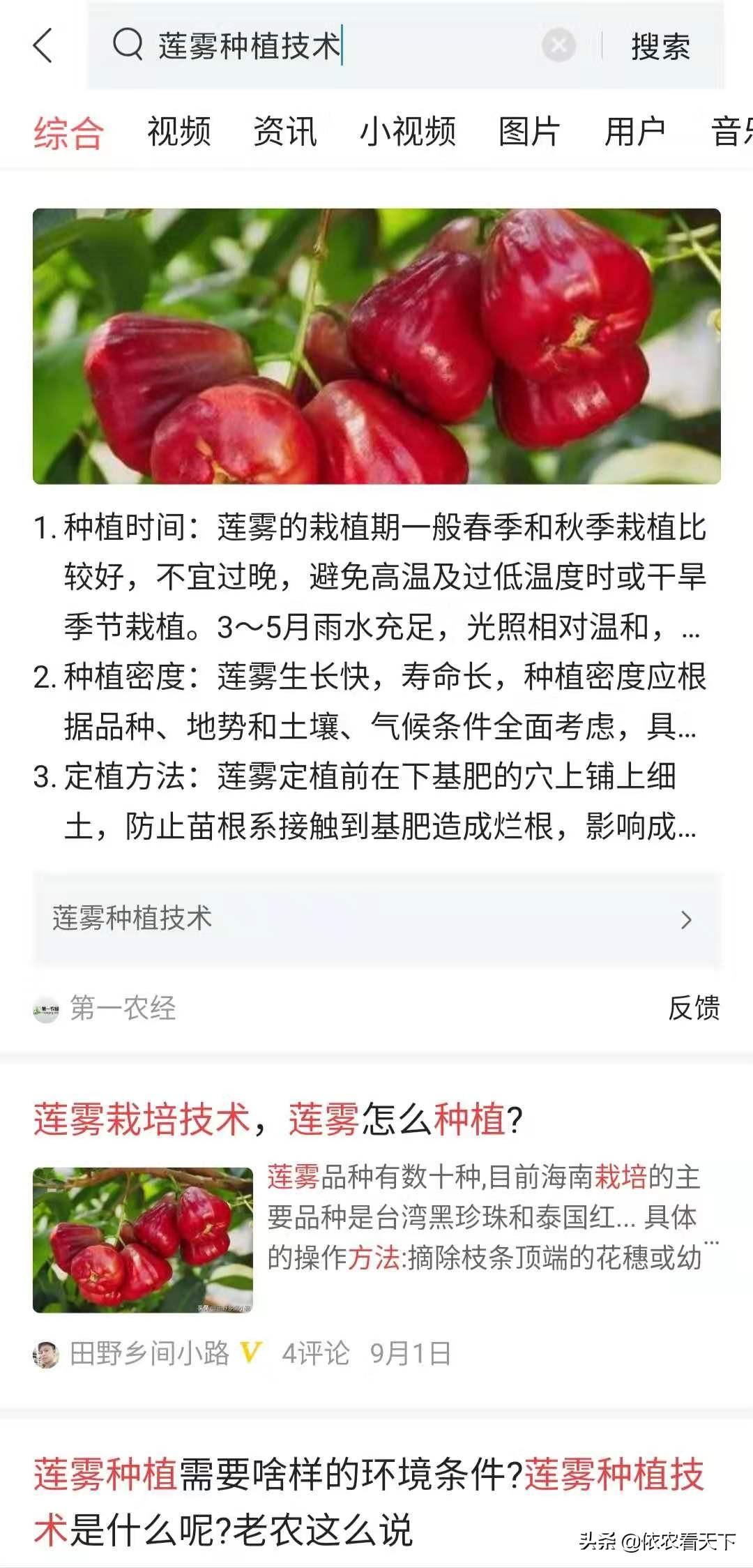 致富经 莲雾_致富经 莲雾_致富经 莲雾