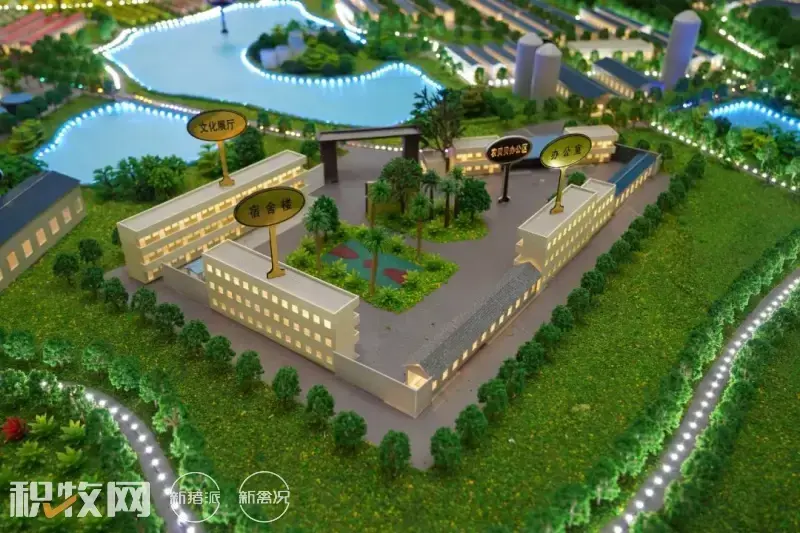 广西养殖蛋鸡致富_广西蛋鸡养殖基地_广西鸡蛋养殖场