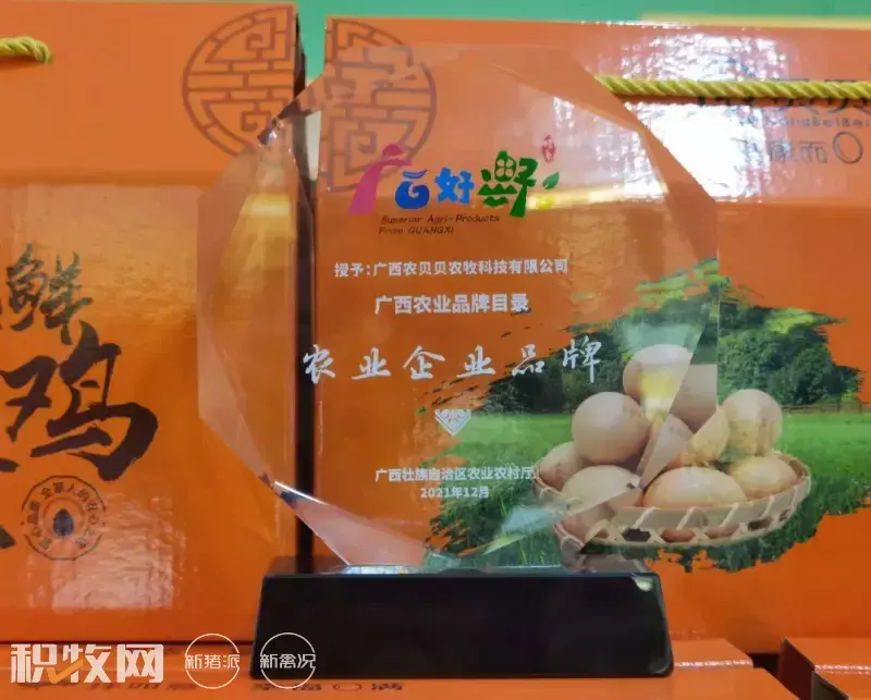 广西鸡蛋养殖场_广西养殖蛋鸡致富_广西蛋鸡养殖基地