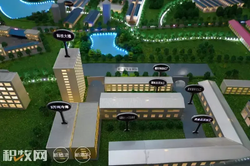 广西蛋鸡养殖基地_广西鸡蛋养殖场_广西养殖蛋鸡致富