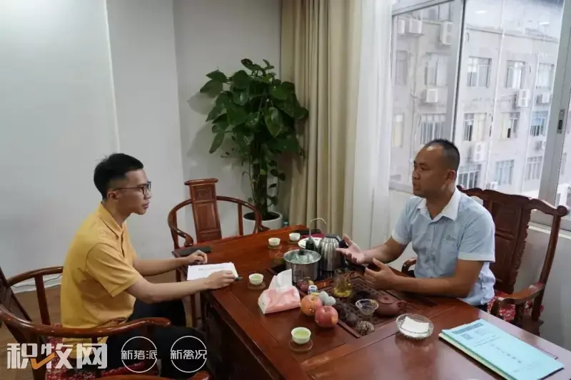广西养殖蛋鸡致富_广西蛋鸡养殖基地_广西鸡蛋养殖场