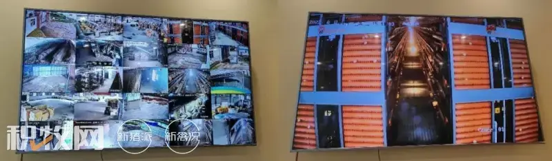 广西鸡蛋养殖场_广西蛋鸡养殖基地_广西养殖蛋鸡致富