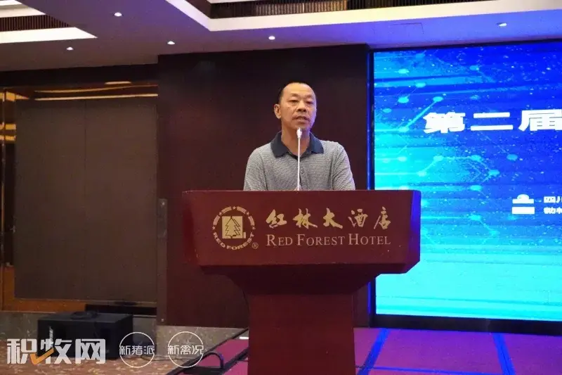 广西蛋鸡养殖企业名录_广西蛋鸡养殖项目_广西养殖蛋鸡致富
