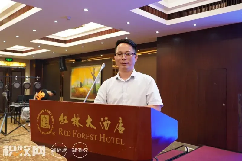 广西蛋鸡养殖企业名录_广西蛋鸡养殖项目_广西养殖蛋鸡致富