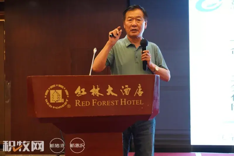 广西养殖蛋鸡致富_广西蛋鸡养殖项目_广西蛋鸡养殖企业名录