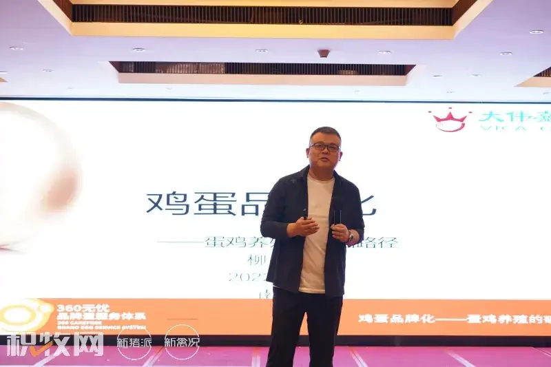 广西养殖蛋鸡致富_广西蛋鸡养殖项目_广西蛋鸡养殖企业名录