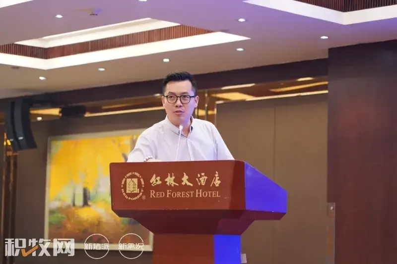 广西蛋鸡养殖项目_广西蛋鸡养殖企业名录_广西养殖蛋鸡致富