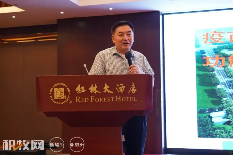 广西养殖蛋鸡致富_广西蛋鸡养殖企业名录_广西蛋鸡养殖项目