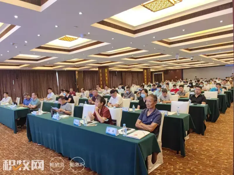 广西蛋鸡养殖项目_广西养殖蛋鸡致富_广西蛋鸡养殖企业名录