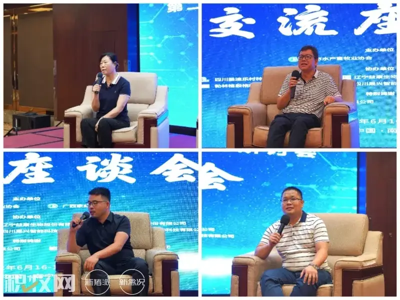 广西蛋鸡养殖企业名录_广西养殖蛋鸡致富_广西蛋鸡养殖项目