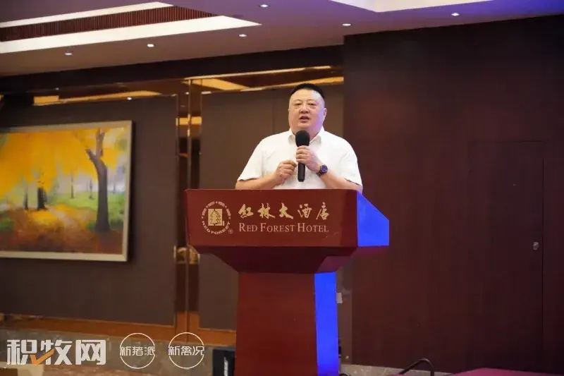 广西蛋鸡养殖企业名录_广西蛋鸡养殖项目_广西养殖蛋鸡致富