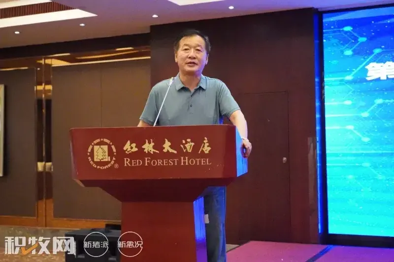 广西蛋鸡养殖企业名录_广西蛋鸡养殖项目_广西养殖蛋鸡致富