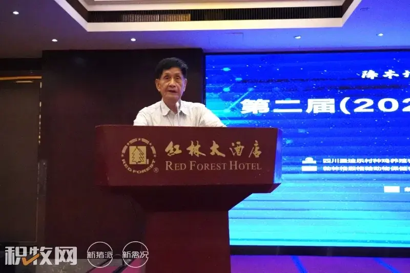 广西蛋鸡养殖项目_广西养殖蛋鸡致富_广西蛋鸡养殖企业名录