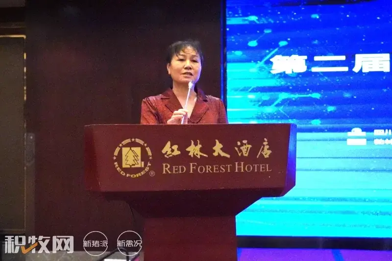 广西养殖蛋鸡致富_广西蛋鸡养殖项目_广西蛋鸡养殖企业名录