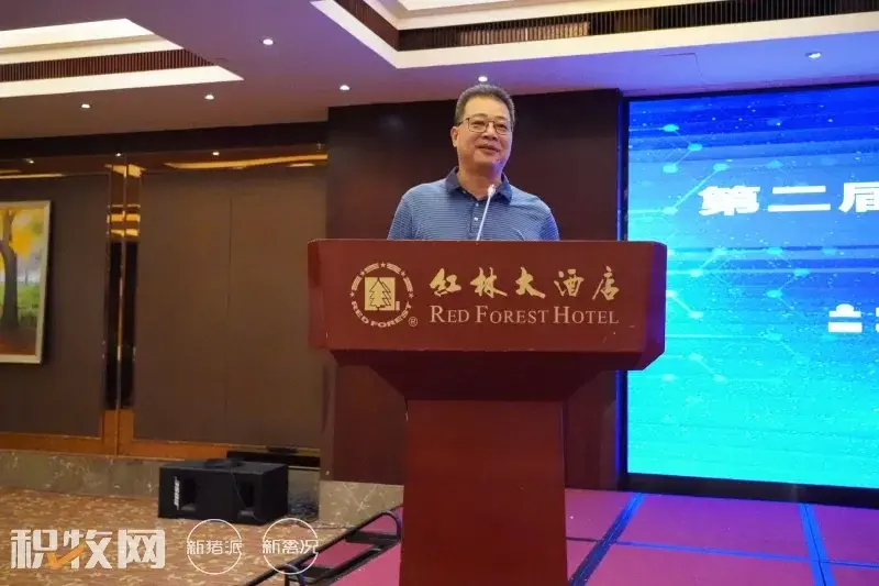 广西蛋鸡养殖项目_广西蛋鸡养殖企业名录_广西养殖蛋鸡致富