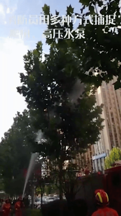 复齿鼯鼠人工养殖收益_致富经复齿鼯鼠养殖_养殖复齿鼯鼠创业致富