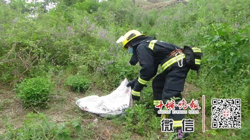 复齿鼯鼠人工养殖收益_致富经复齿鼯鼠养殖_养殖复齿鼯鼠创业致富