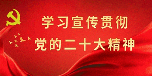 优质服务典型经验案例_典型案例经验材料_典型案例优质经验服务怎么写