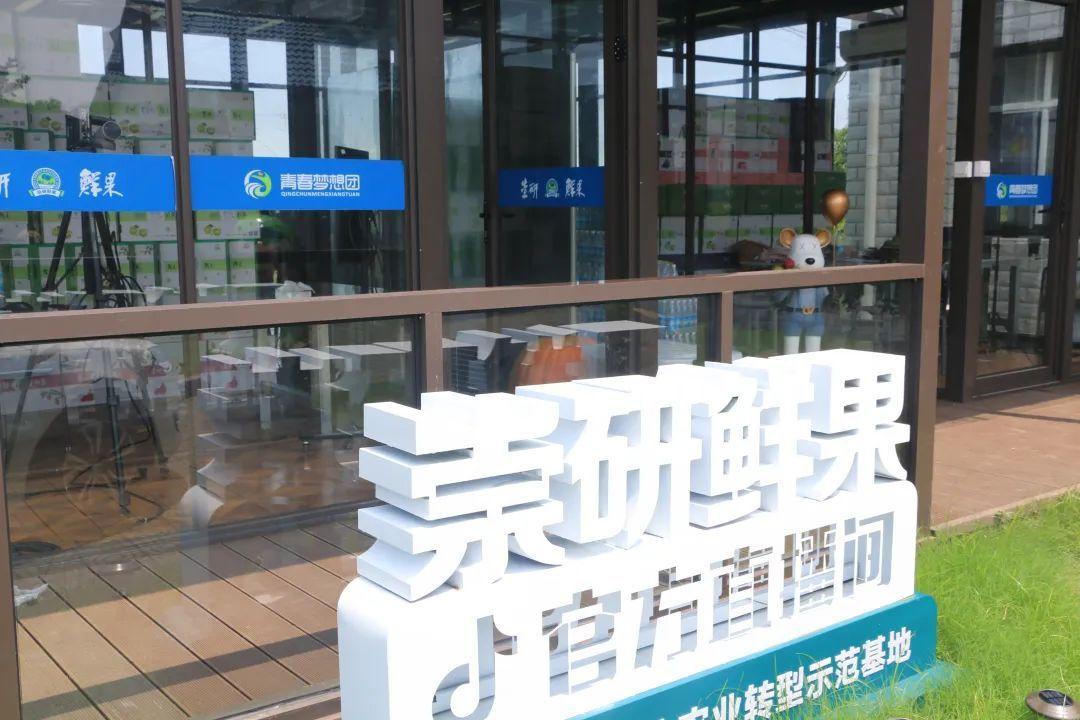 种梨专户_致富经梨树_种梨致富经