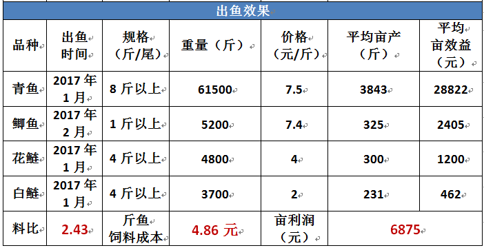 养殖青鱼致富方法_养殖青鱼技术_致富养殖青鱼方法图解