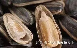 十万只火鸡死亡，397人集体中毒，你每天吃的粮食坚果中存在的一级剧毒物质！