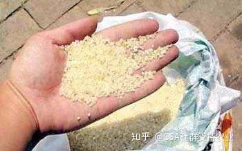 致富节目养殖火鸡视频_致富经节目火鸡养殖_农业节目致富经养殖鸡视频