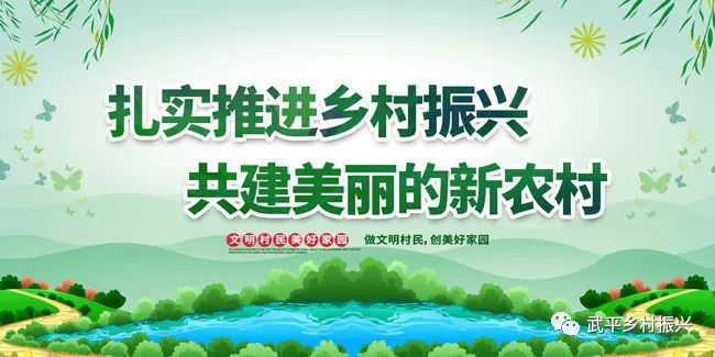 蜜蜂养殖技术大全视频_蜜蜂养殖技术大_蜜蜂养殖技术大全教程