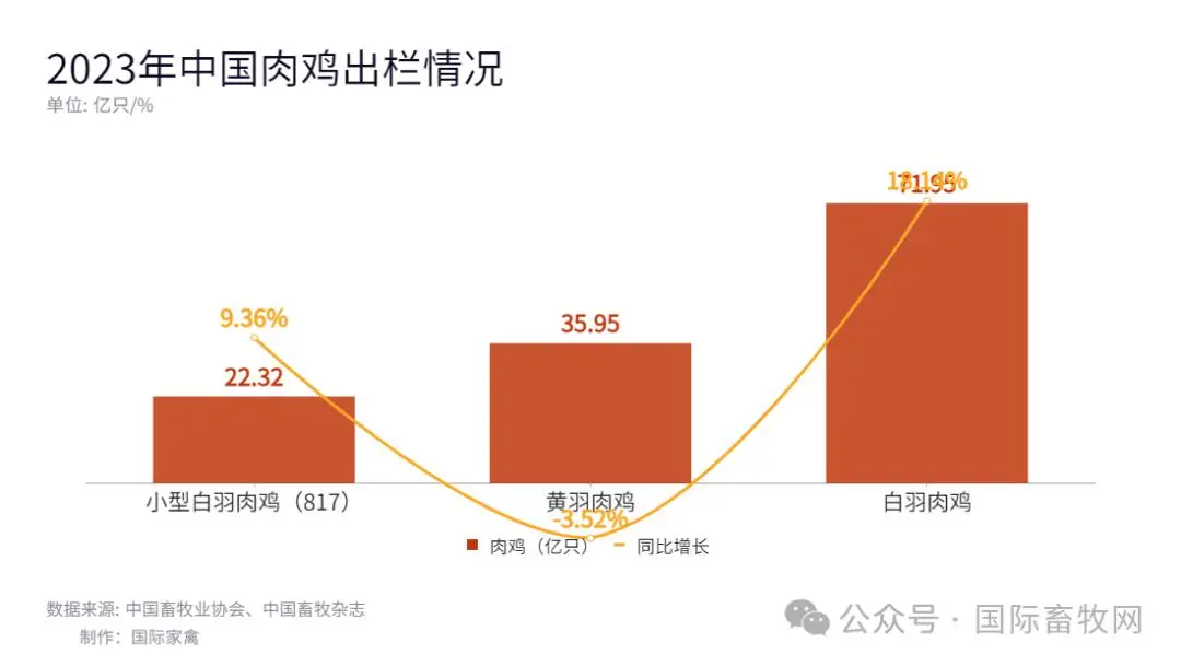 农村养肉鸡赚钱吗_致富养殖农民肉鸡视频_农民养殖肉鸡致富