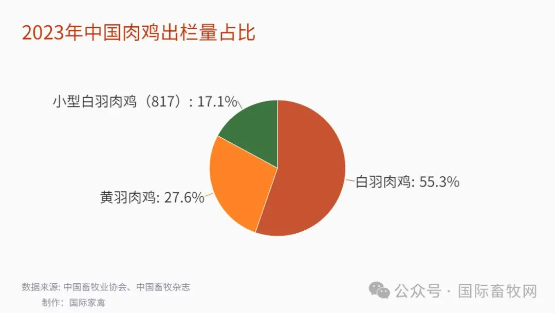 农村养肉鸡赚钱吗_致富养殖农民肉鸡视频_农民养殖肉鸡致富